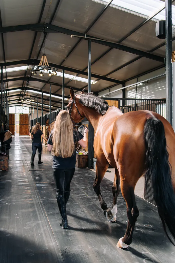 Îngrijitoare alături de cai pe holul grajdului Elite Riders Academy
