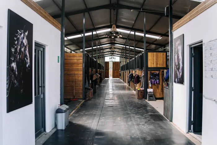 Holul grajdului Elite Riders Academy, decorat cu portrete ecvestre înrămate