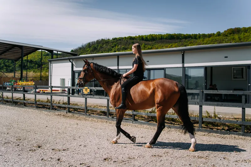 Lecție de echitație în arena Elite Riders Academy